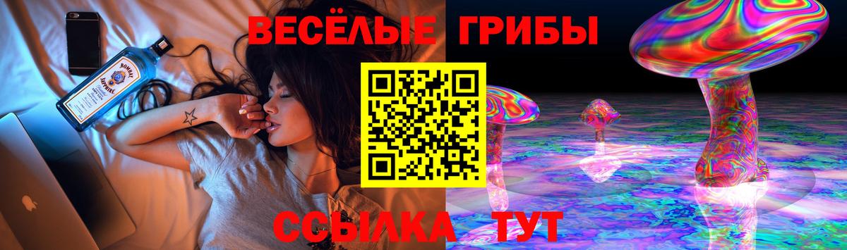 Галлюциногенные грибы Magic Shrooms  Вход с VPN  где купить наркоту  Ковров 